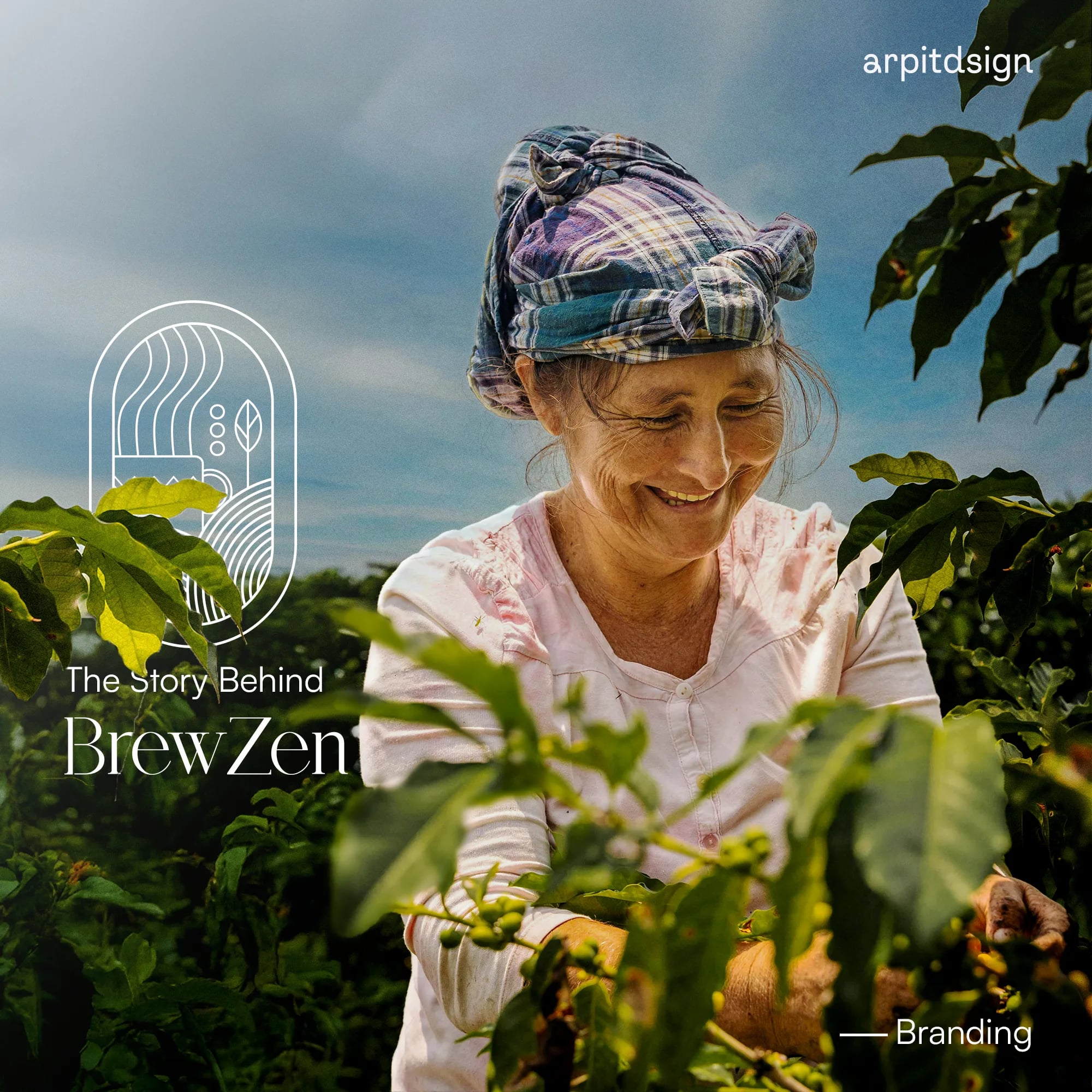 The Story Behind BrewZen